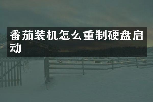 番茄装机怎么重制硬盘启动