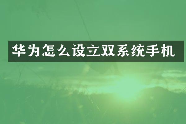 华为怎么设立双系统手机