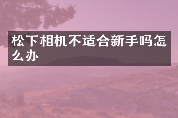 相机不适合新手吗怎么办
