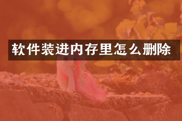 软件装进内存里怎么删除