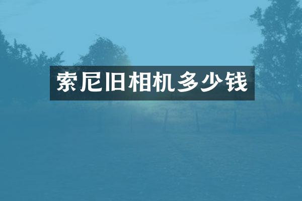 旧相机多少钱