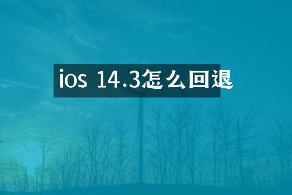 ios 14.3怎么回退