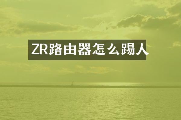 ZR路由器怎么踢人