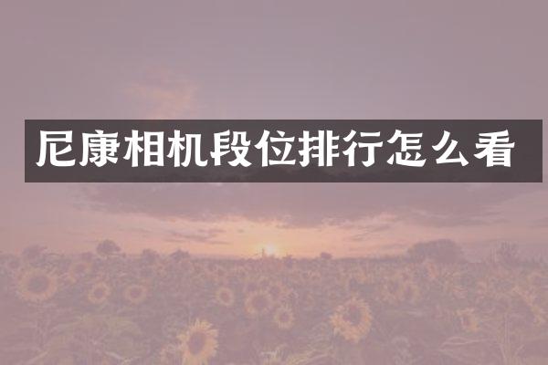 尼康相机段位排行怎么看