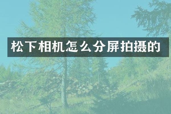 相机怎么分屏拍摄的