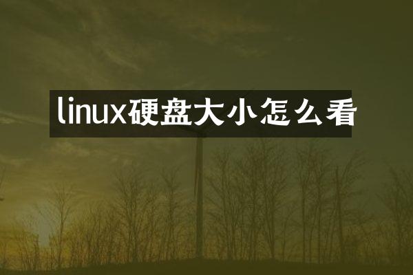 linux硬盘大小怎么看