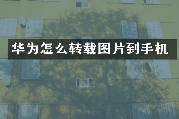 华为怎么转载图片到手机