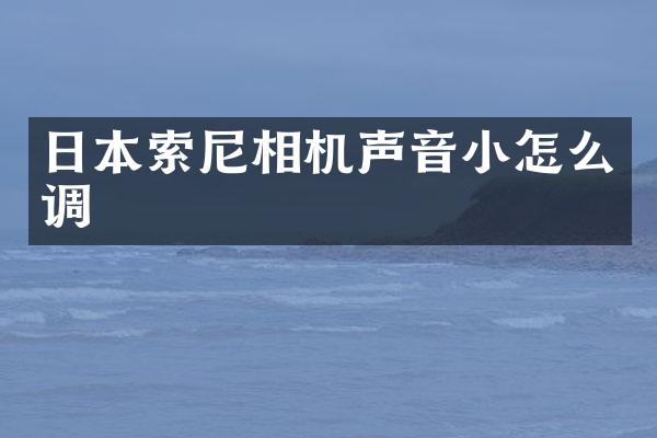日本相机声音小怎么调