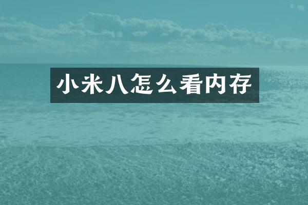 小米八怎么看内存