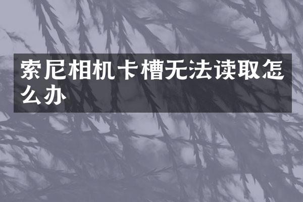 相机卡槽无法读取怎么办