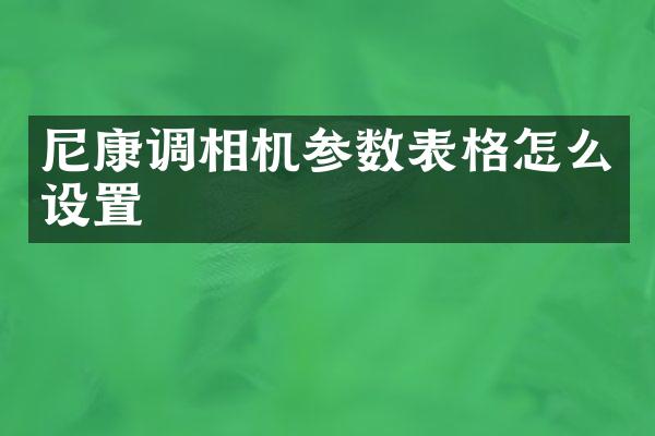 尼康调相机参数表格怎么设置