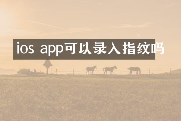 ios app可以录入指纹吗