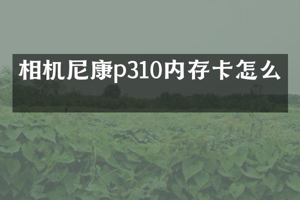 相机尼康p310内存卡怎么插