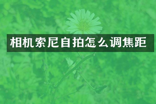 相机怎么调焦距