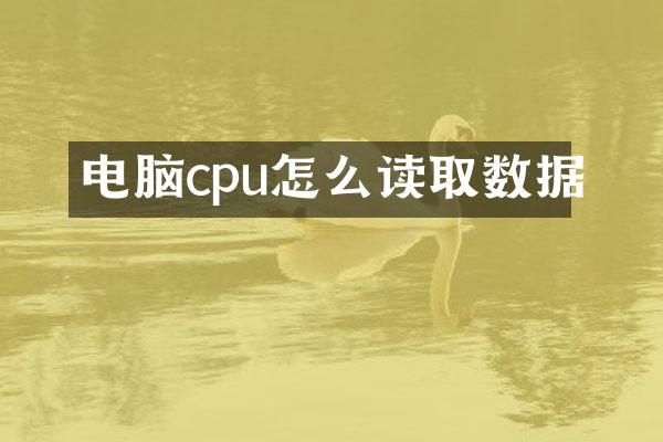 电脑cpu怎么读取数据