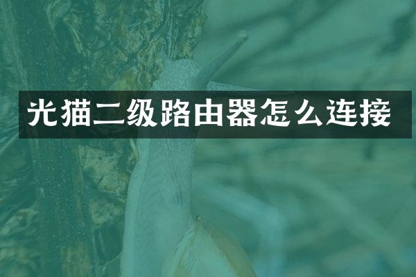 光猫二级路由器怎么连接