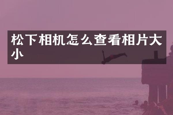 相机怎么查看相片大小