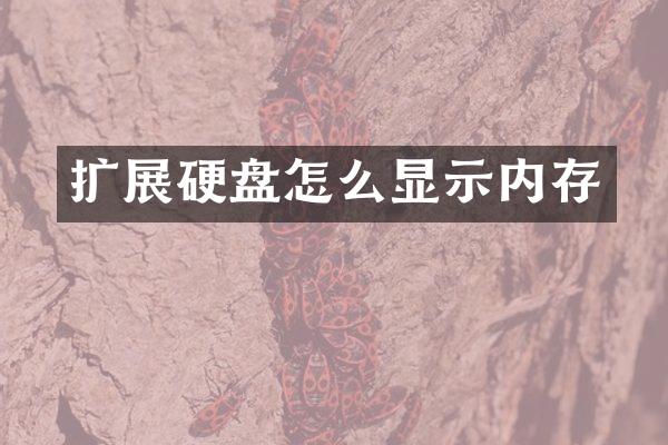 扩展硬盘怎么显示内存