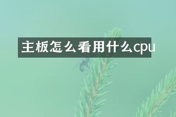 主板怎么看用什么cpu