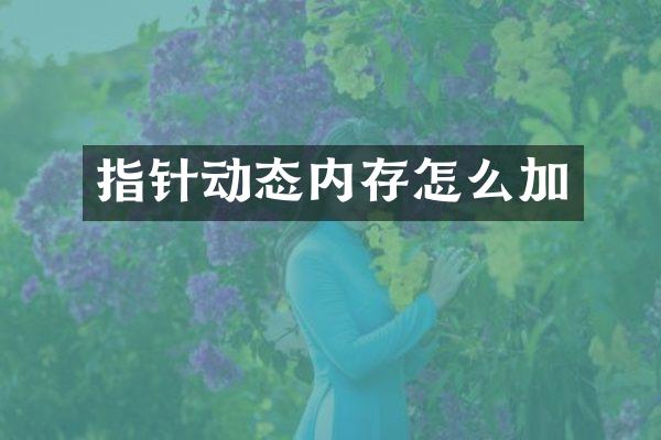 指针动态内存怎么加