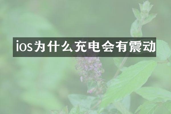 ios为什么充电会有震动