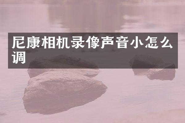 尼康相机录像声音小怎么调