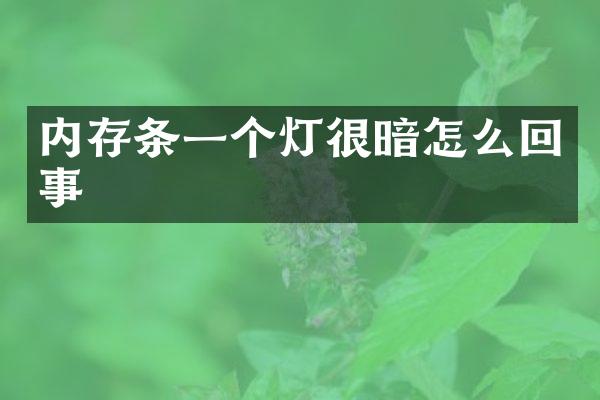 内存条一个灯很暗怎么回事