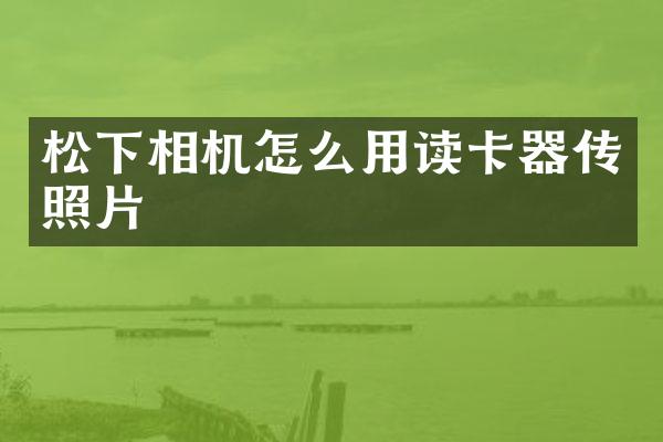 相机怎么用读卡器传照片