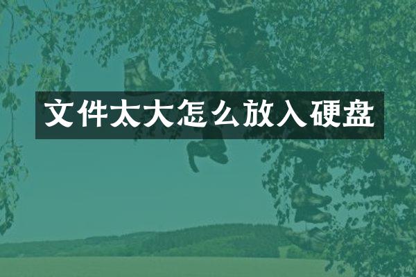 文件太大怎么放入硬盘