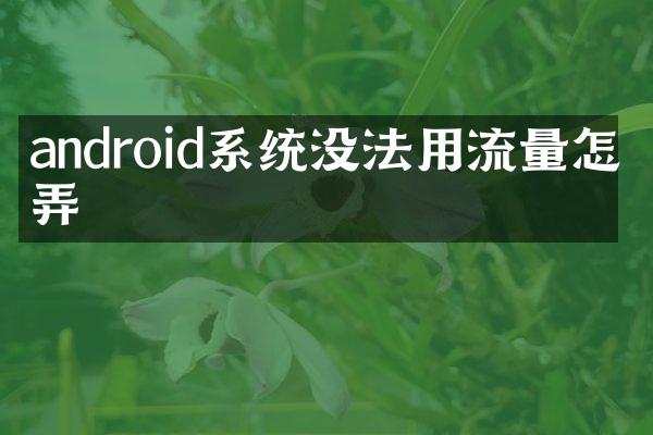 android系统没法用流量怎么弄