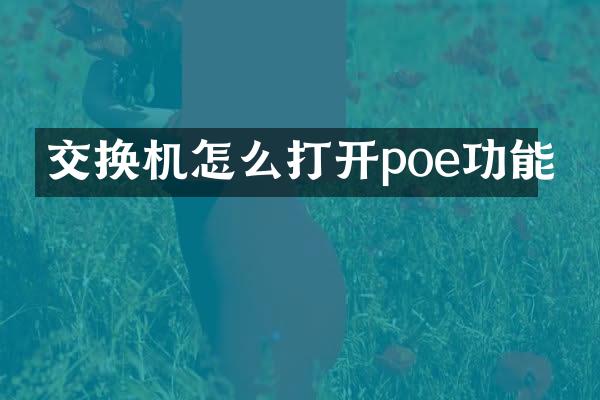 交换机怎么打开poe功能
