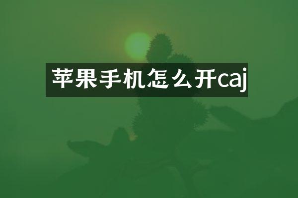 苹果手机怎么开caj