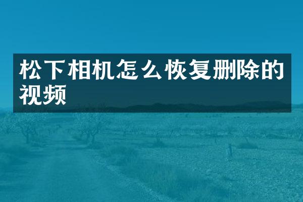 相机怎么恢复删除的视频