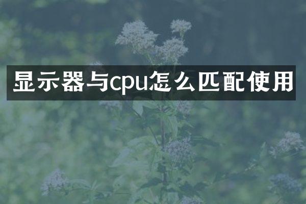 显示器与cpu怎么匹配使用