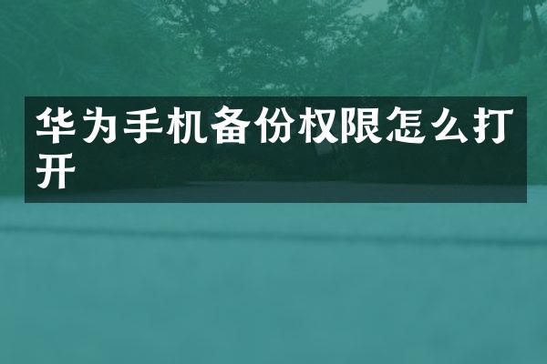 华为手机备份权限怎么打开