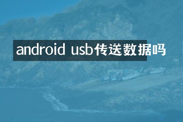 android usb传送数据吗