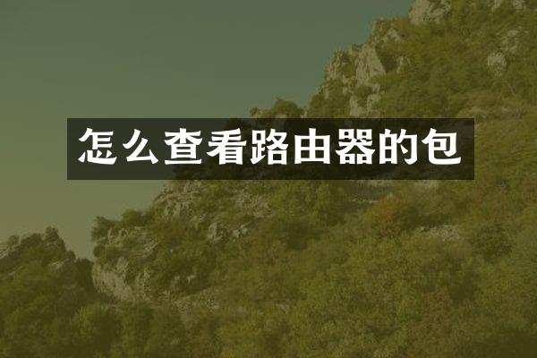 怎么查看路由器的包