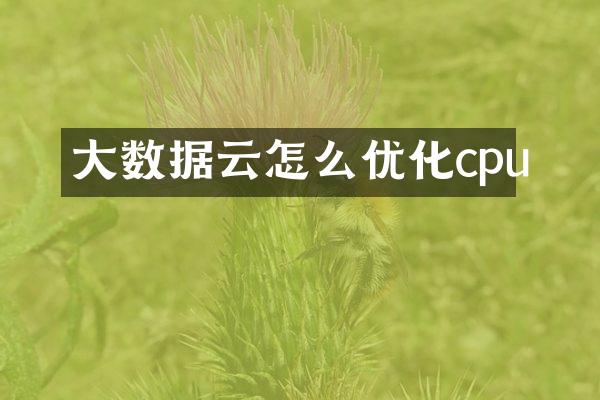 大数据云怎么优化cpu