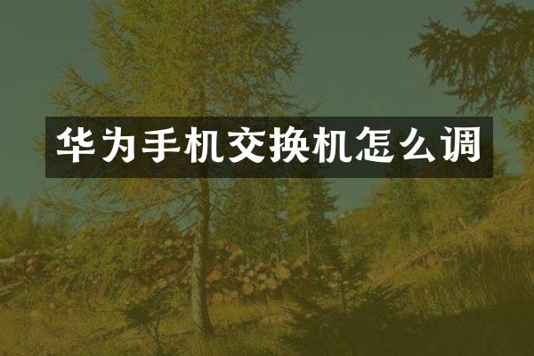 华为手机交换机怎么调