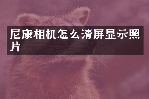 尼康相机怎么清屏显示照片