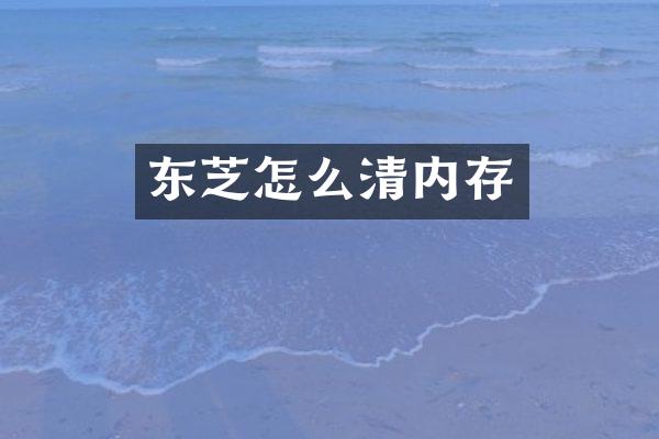 东芝怎么清内存