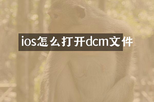 ios怎么打开dcm文件