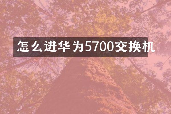 怎么进华为5700交换机