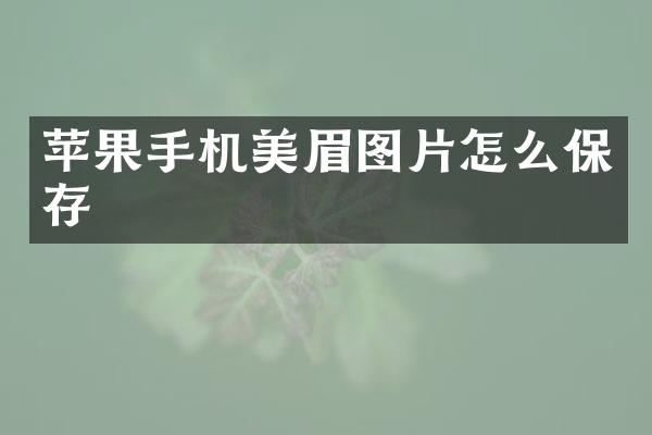 苹果手机美眉图片怎么保存