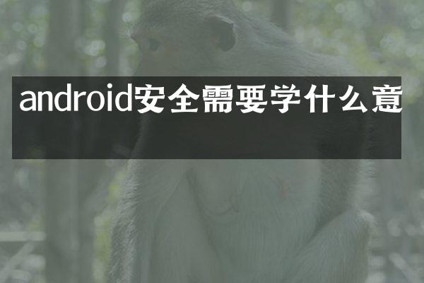 android安全需要学什么意思