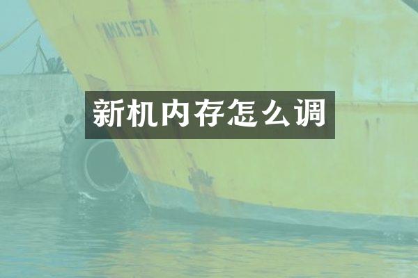 新机内存怎么调