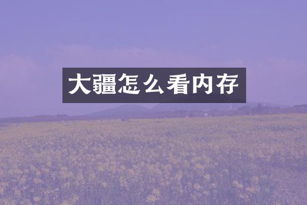 大疆怎么看内存