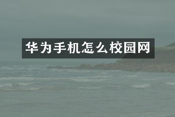 华为手机怎么校园网