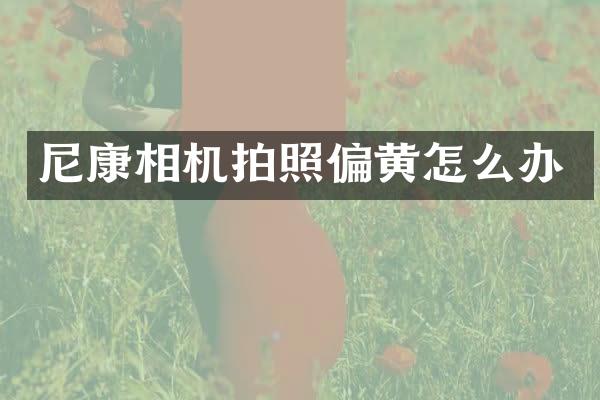 尼康相机拍照偏黄怎么办