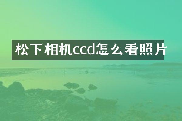 相机ccd怎么看照片